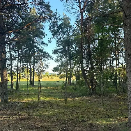 Luxury tent Merevaatega Glaemping Sarvel